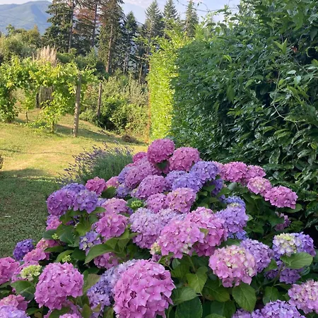 Casa Rita Garfagnana